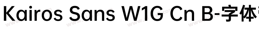 Kairos Sans W1G Cn B字体转换